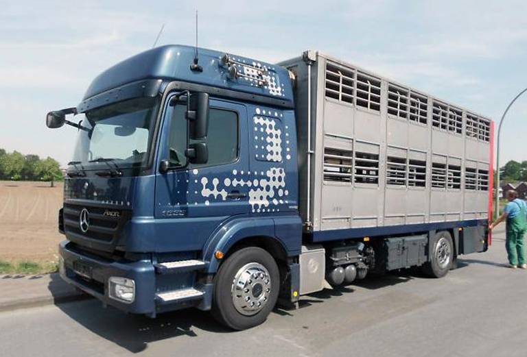 Отвезти свиней, кур, собаку  автотранспортом из Тагая в Киржача