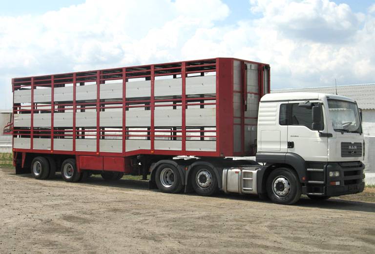 Прицеп для перевозки крупного рогатого скота из  в 